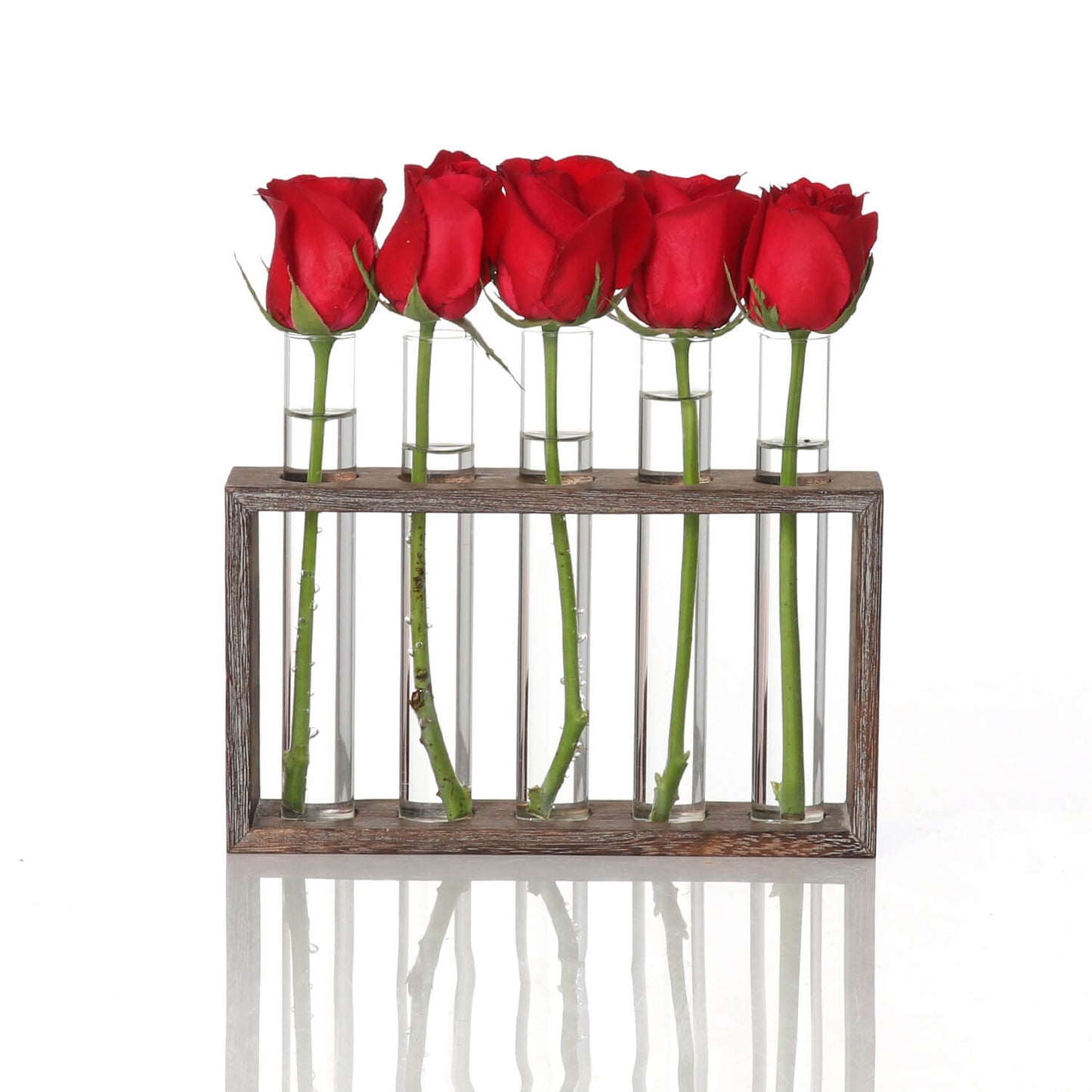 Plant Glass Container with Wooden Stand