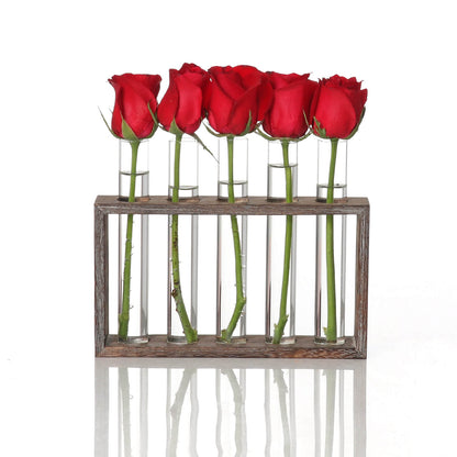 Plant Glass Container with Wooden Stand
