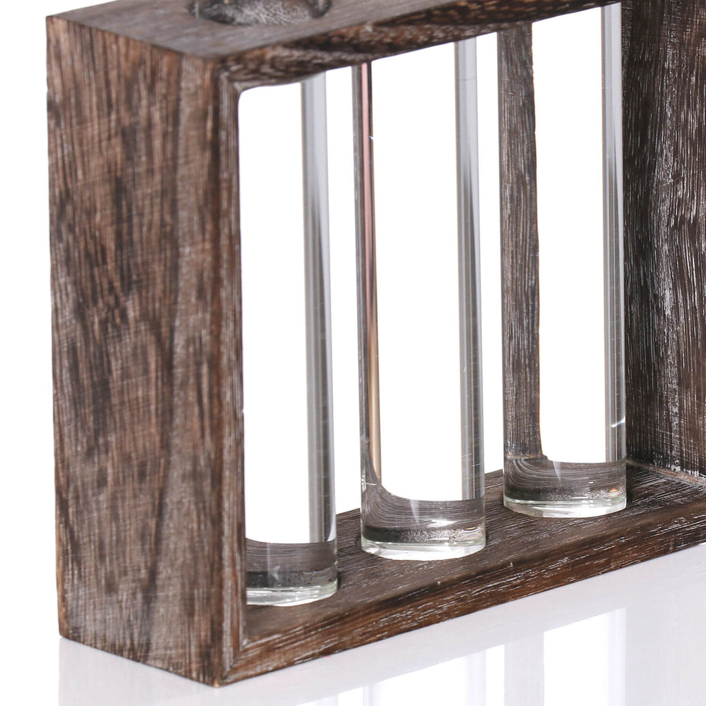 Plant Glass Container with Wooden Stand