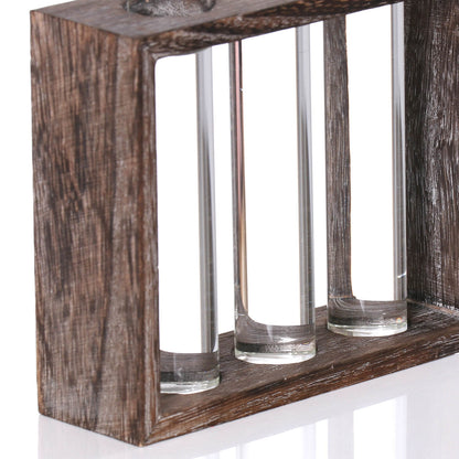 Plant Glass Container with Wooden Stand