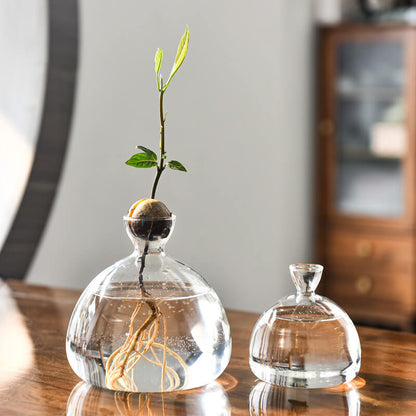Avocado Hydroponic Vase