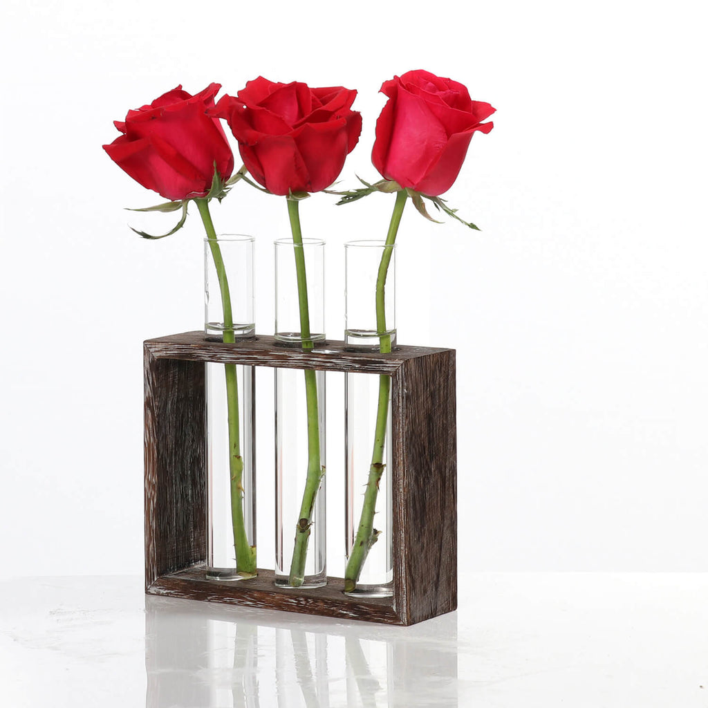 Plant Glass Container with Wooden Stand