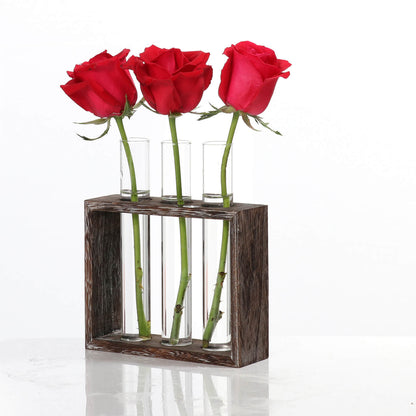 Plant Glass Container with Wooden Stand