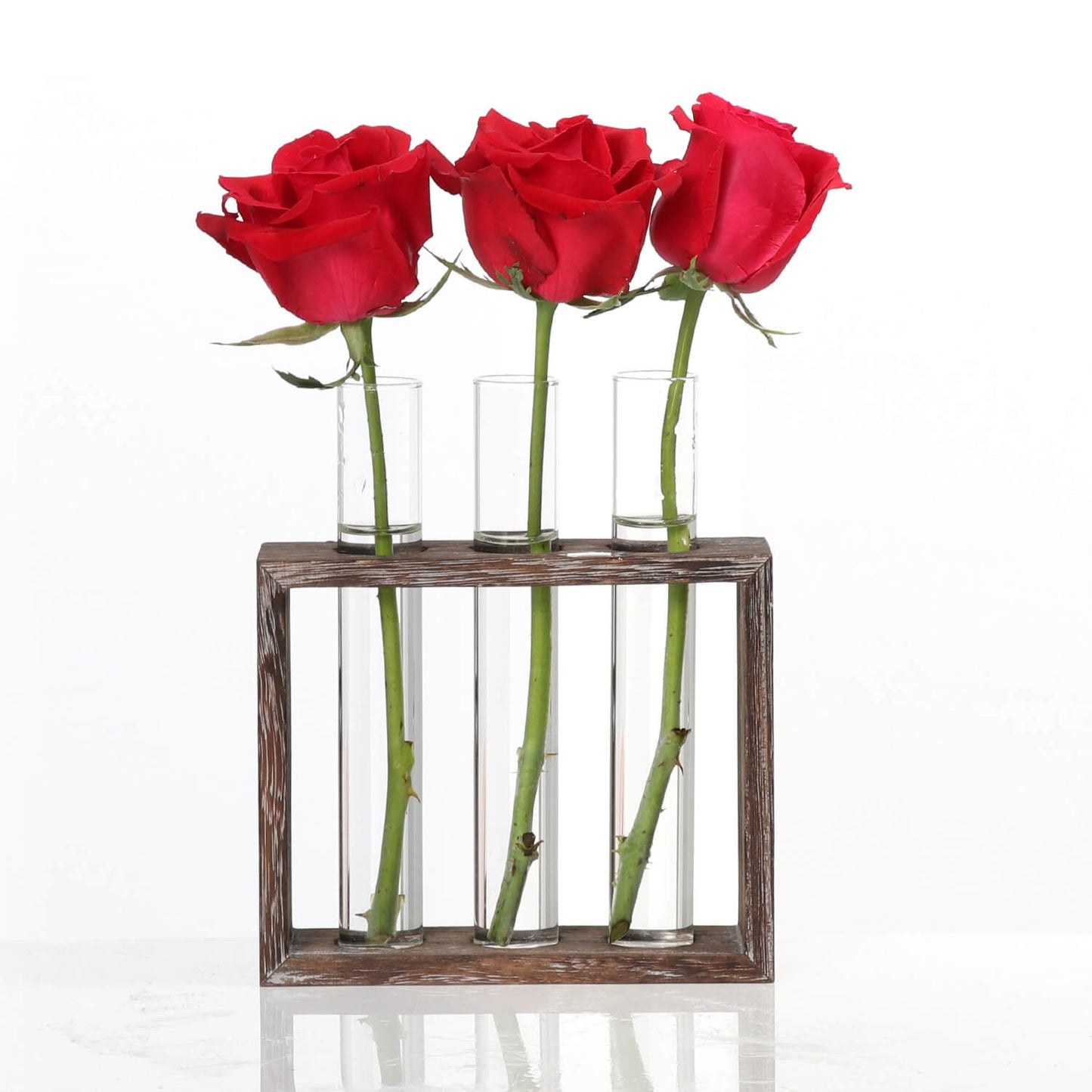 Plant Glass Container with Wooden Stand