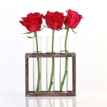 Plant Glass Container with Wooden Stand