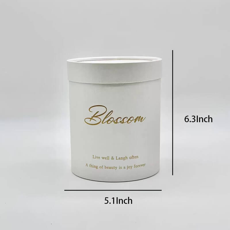 Simple Hand Holding Gift Box