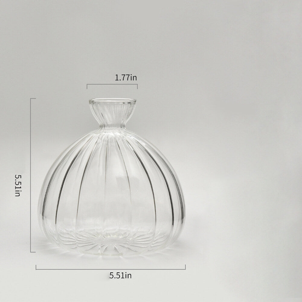 Avocado Hydroponic Vase