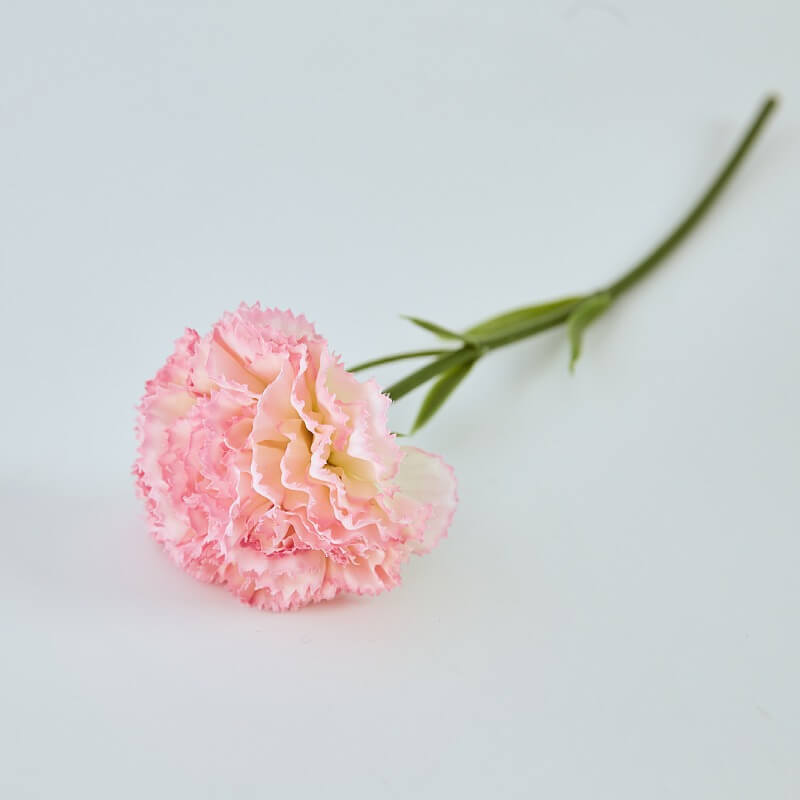 Single Silk Carnation - 11”