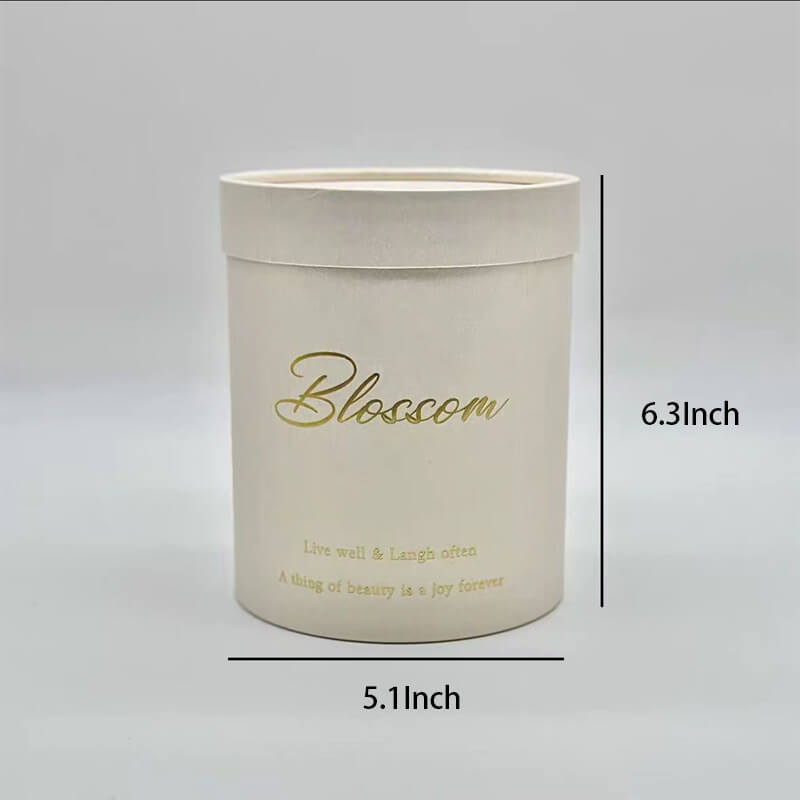 Simple Hand Holding Gift Box