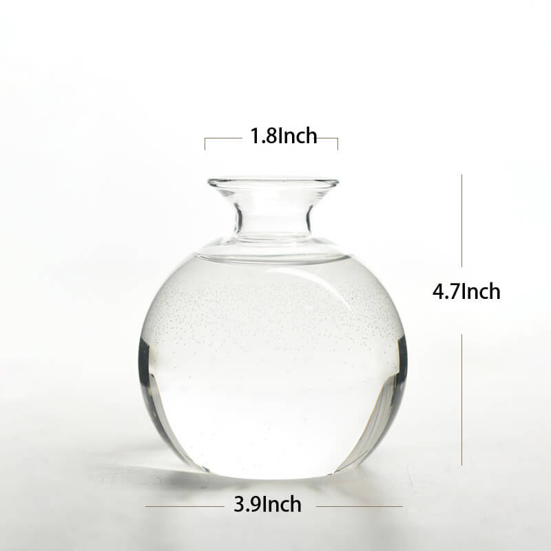 Avocado Hydroponic Vase