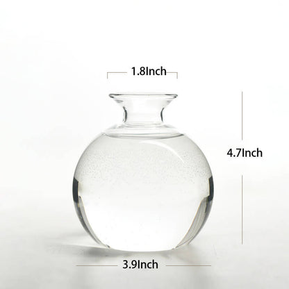 Avocado Hydroponic Vase