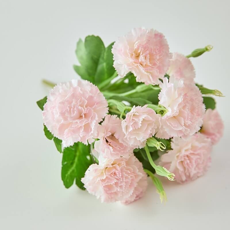 11.8'' Silk Carnation Bouquet - 10 Heads