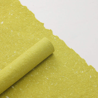 Caja de flores redonda de terciopelo 