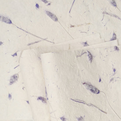 Rabbittail Flower Wrap Paper, 15 × 22 Inch, 5 Sheets