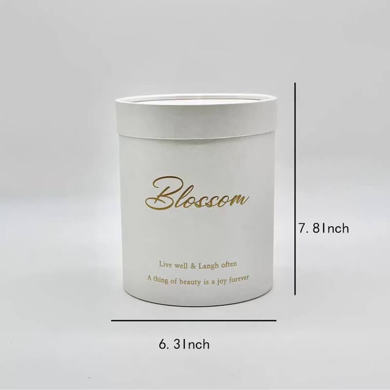 Simple Hand Holding Gift Box