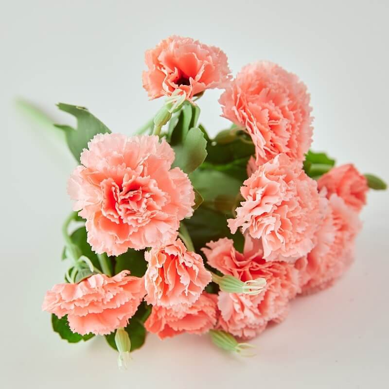 11.8'' Silk Carnation Bouquet - 10 Heads