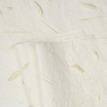 Rabbittail Flower Wrap Paper, 15 × 22 Inch, 5 Sheets