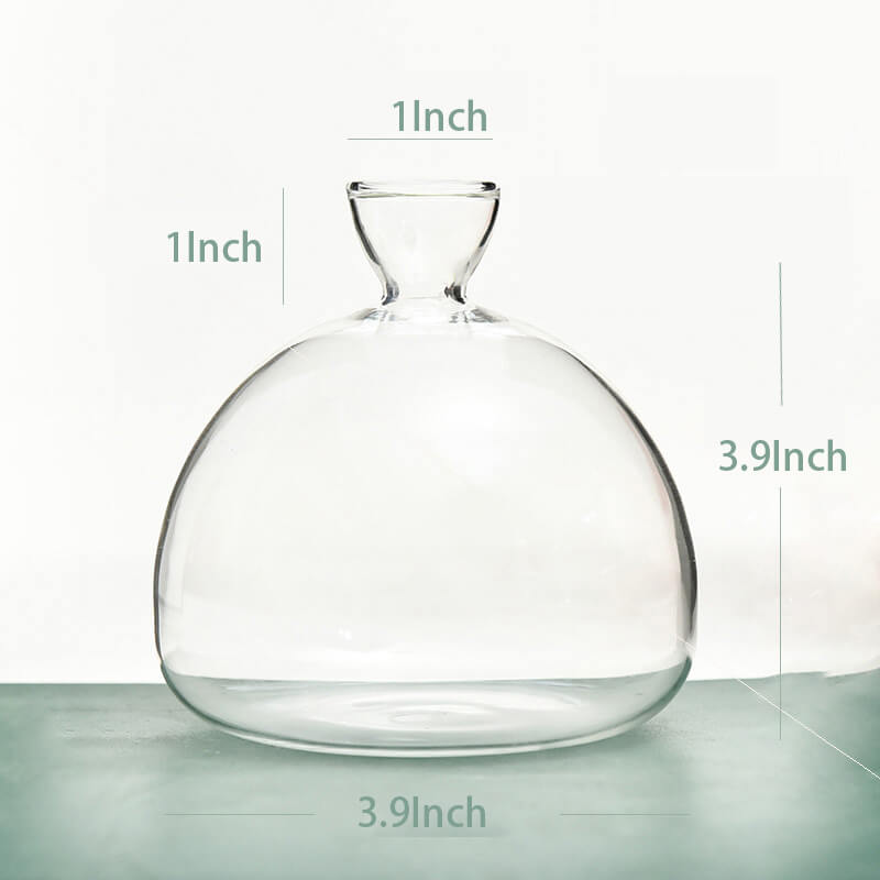 Avocado Hydroponic Vase