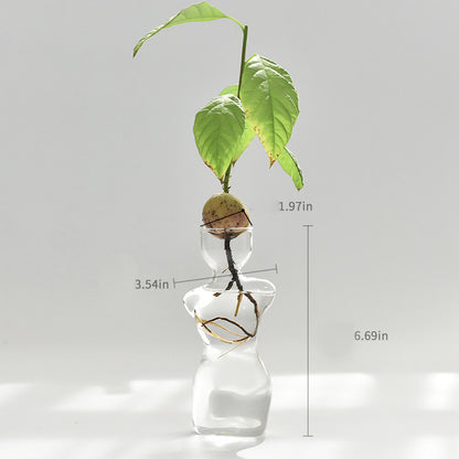 Avocado Hydroponic Vase