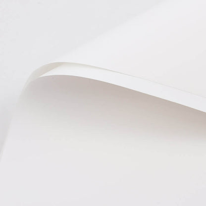 Solid-colored Matte Florist Paper, 23 x 23 Inch