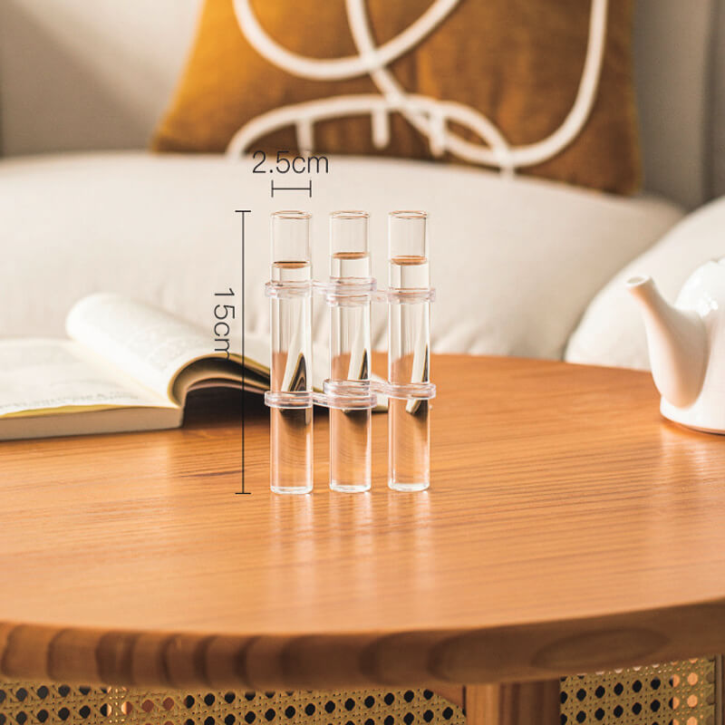 Glass Test Tube Vases