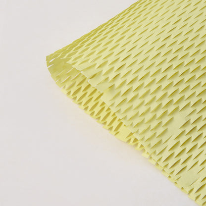 Colored Mesh WrappingPaper, 10 Sheets