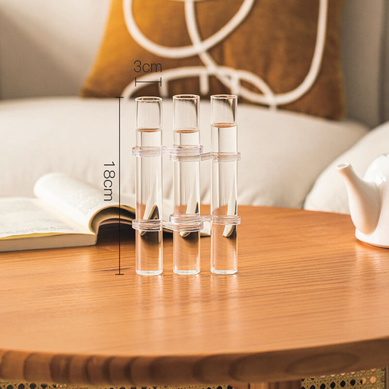 Glass Test Tube Vases