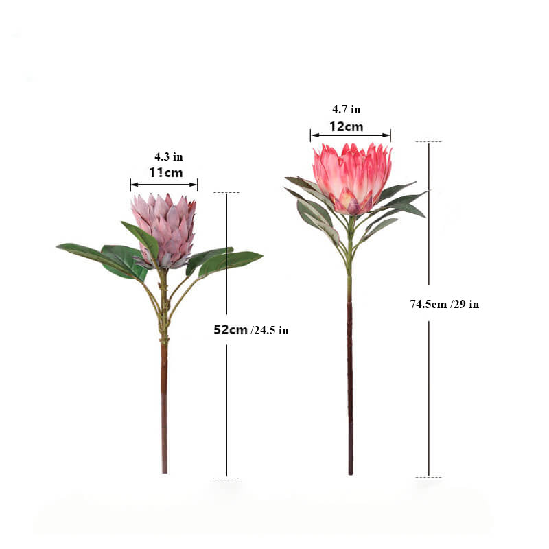 Artificial King Protea Flower - 29''