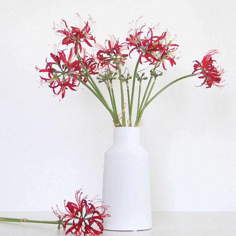 Artificial Single Stem Lycoris Radiata