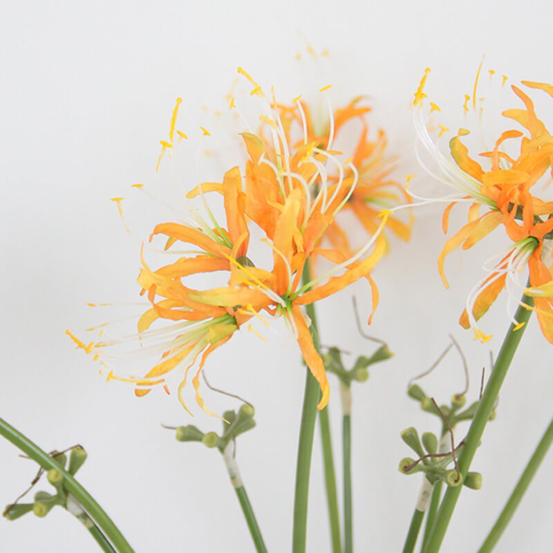 Artificial Single Stem Lycoris Radiata