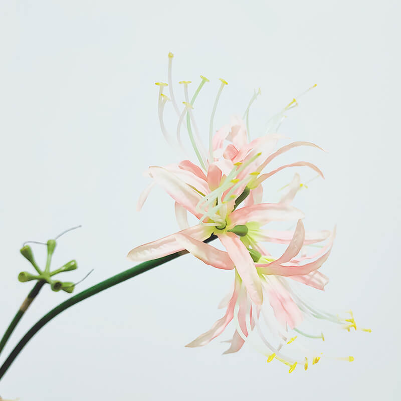 Artificial Single Stem Lycoris Radiata