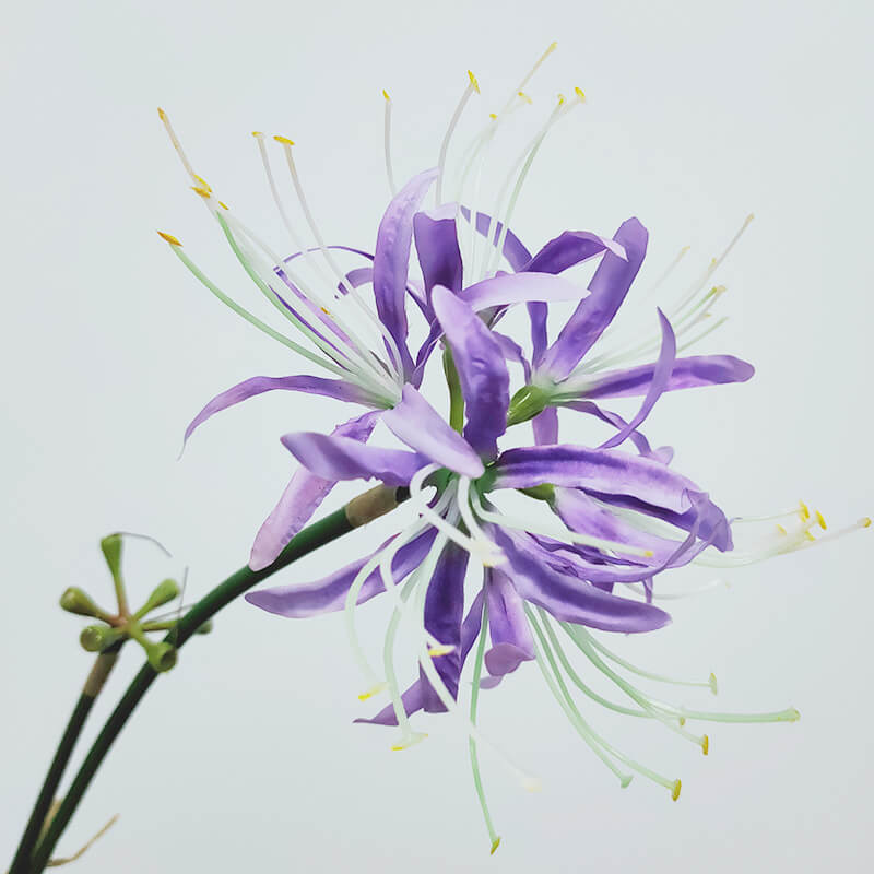 Artificial Single Stem Lycoris Radiata