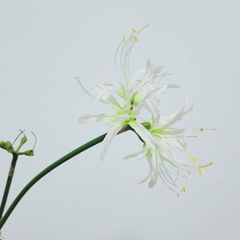 Tallo único artificial Lycoris radiata