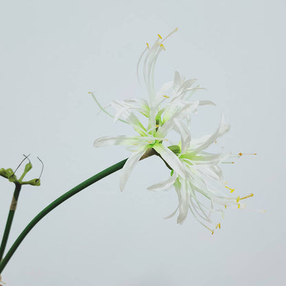 Artificial Single Stem Lycoris Radiata