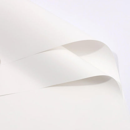 Colored Korean Wrapping Paper for Bouquets, 23x23 Inch, 20 Sheets