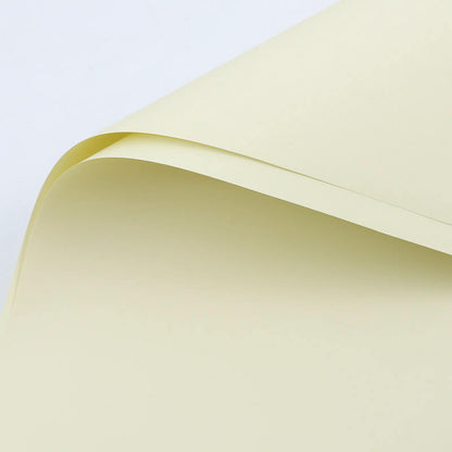 Solid-colored Matte Florist Paper, 23 x 23 Inch