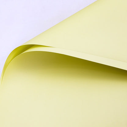 Solid-colored Matte Florist Paper, 23 x 23 Inch