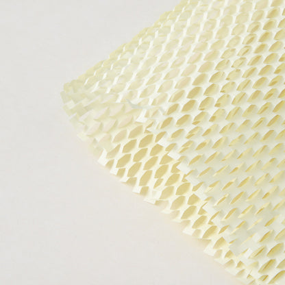 Colored Mesh WrappingPaper, 10 Sheets