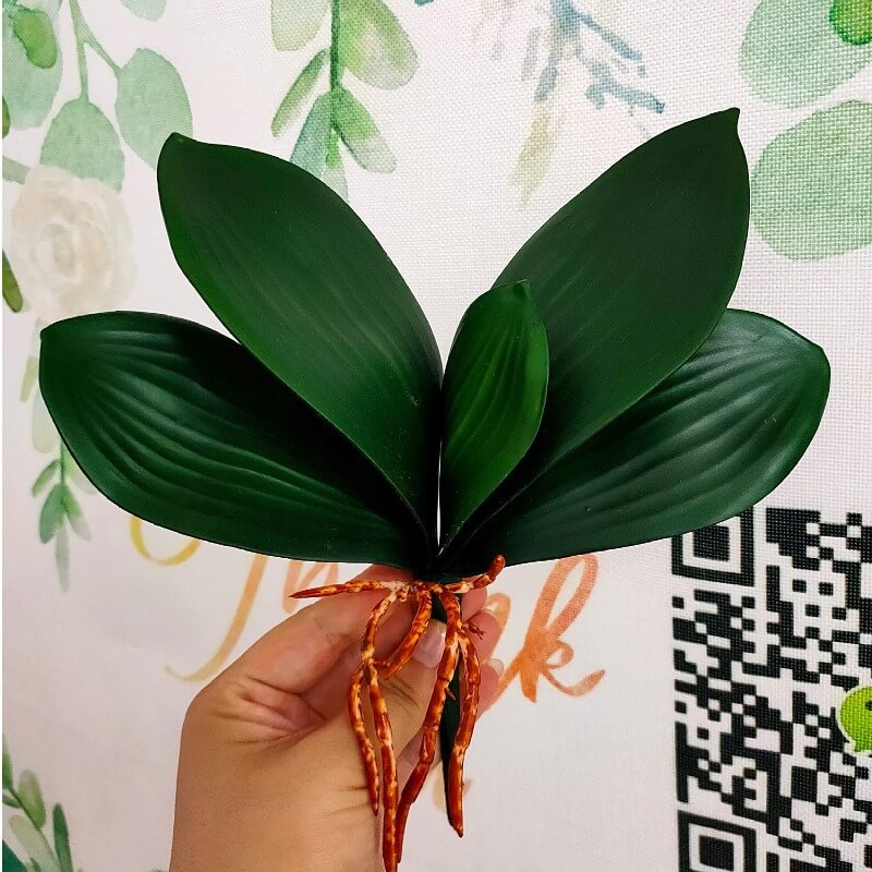 9" Silk Phalaenopsis Orchid Base Leaves with Air Roots