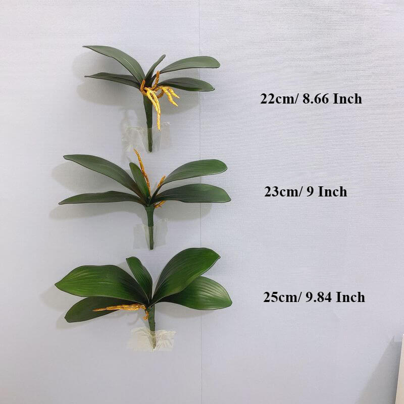 9" Silk Phalaenopsis Orchid Base Leaves with Air Roots