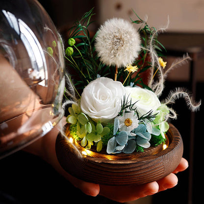 Regalos de flores reales de diente de león para ella