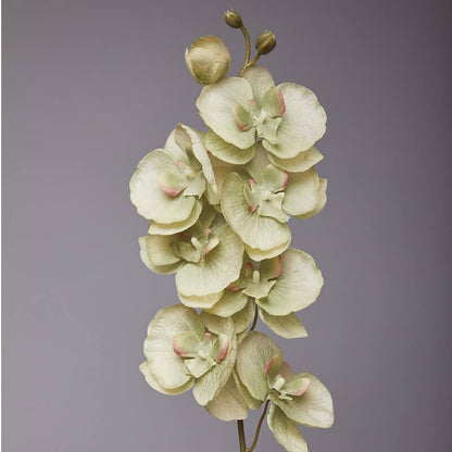 Artificial Phalaenopsis Flowers