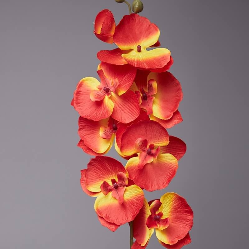 Artificial Phalaenopsis Flowers