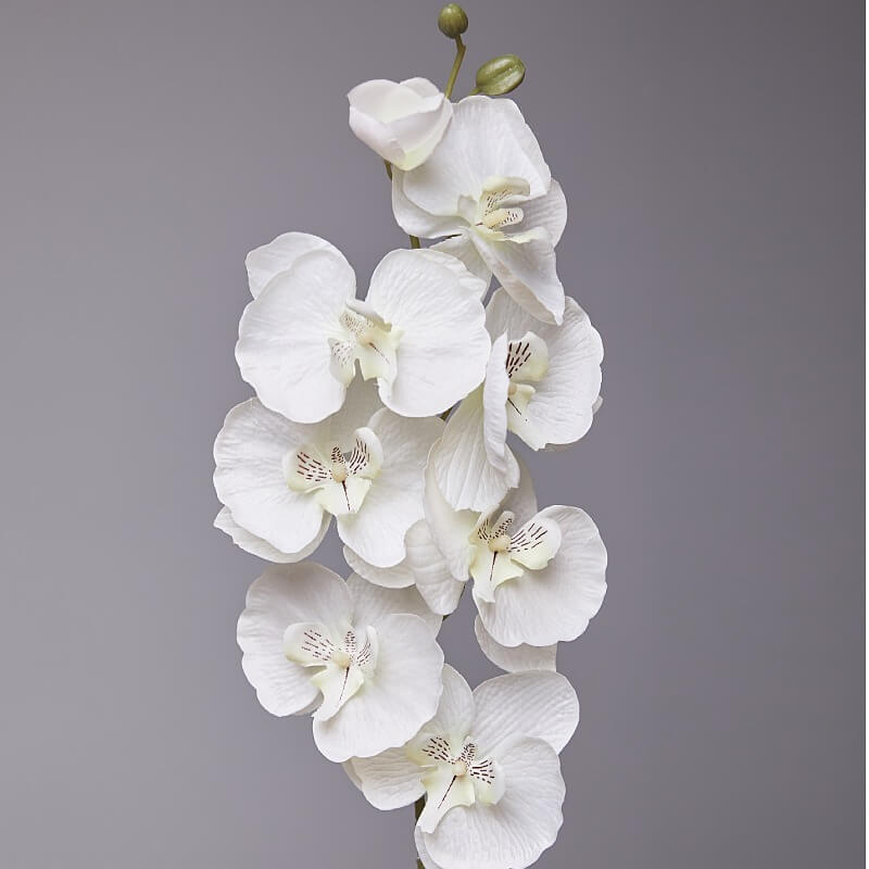 Artificial Phalaenopsis Flowers