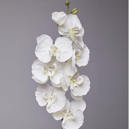 Artificial Phalaenopsis Flowers