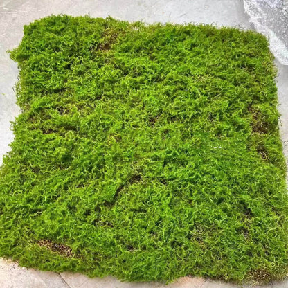 Oasis pour fleurs artificielles