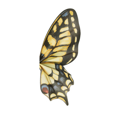 Butterfly Wing Wrapping Paper