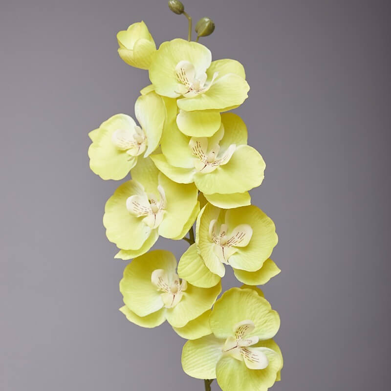 Artificial Phalaenopsis Flowers