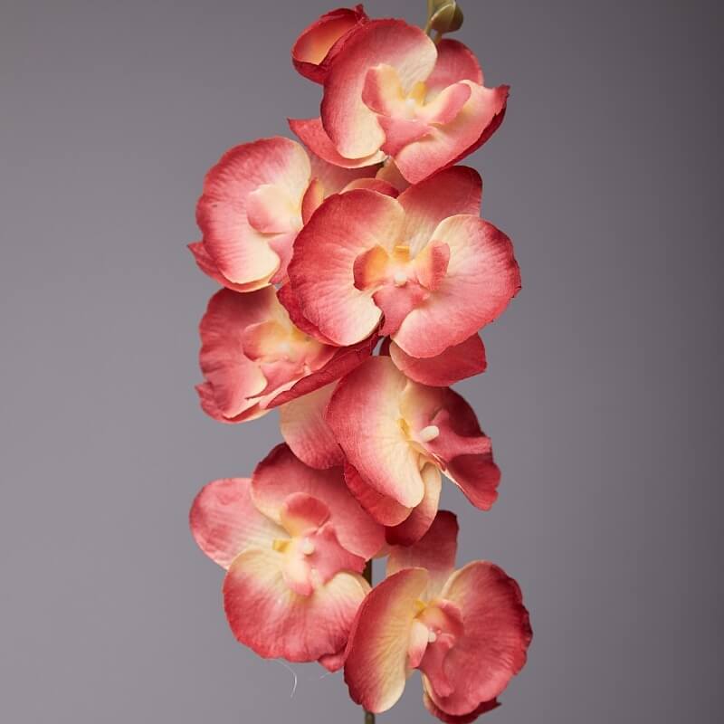 Artificial Phalaenopsis Flowers