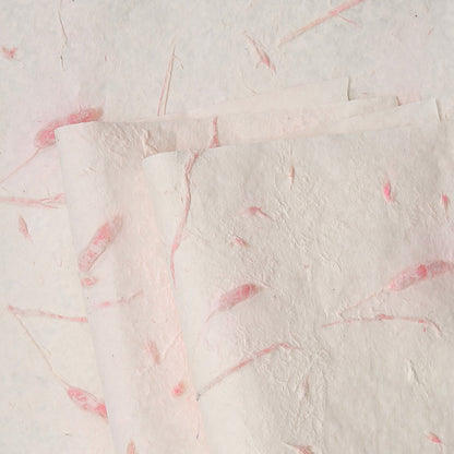 Rabbittail Flower Wrap Paper, 15 × 22 Inch, 5 Sheets